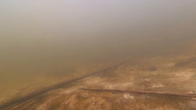 Силиконовые приманки на судака!!! | ТОП 5 | Лучшие приманки 2020 года| Часть 1 смотреть онлайн