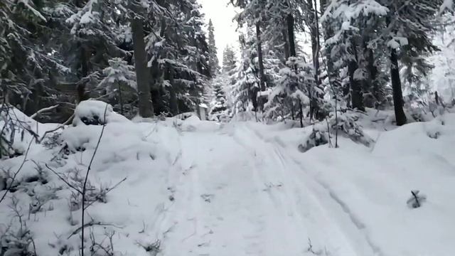 Зимняя рыбалка на жерлицы.Лесная избушка.Зимняя природа.Таежный быт.День 3 смотреть онлайн
