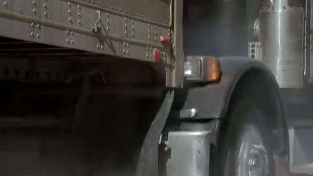 Чёрный пес 3