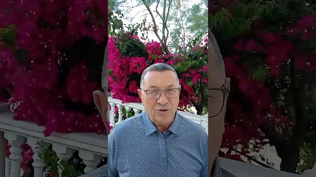 Мир это зеркало! смотреть онлайн