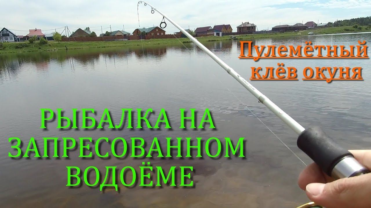 РЫБАЛКА НА ЗАПРЕСОВАННОМ ВОДОЁМЕ. Пулемётный клёв окуня