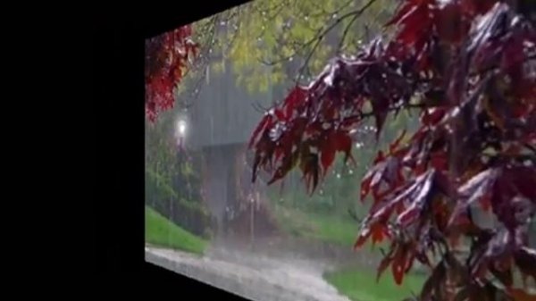 Eternal Tears Of Sorrow - Tears of autumn rain{lyrics}