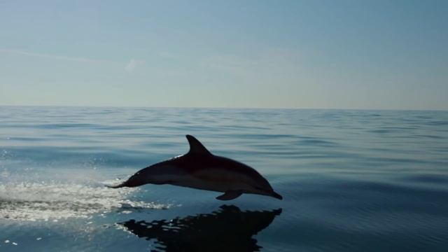 A moment of calm, from the island of Ireland | part 6 смотреть онлайн