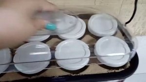 Йогуртница Centek CT-1443 цена 1499