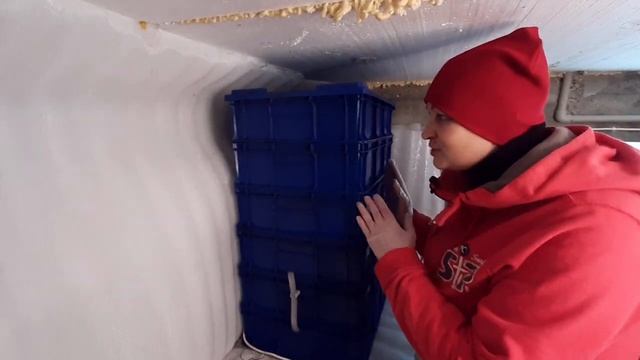 ТТ47 Как зимуют червячки смотреть онлайн