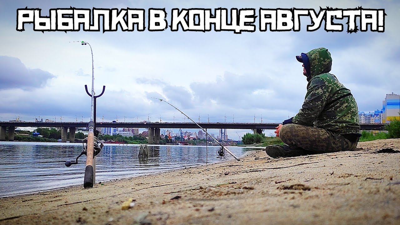 КТО ГНЁТ ДОНКИ на ПЕСКАХ Они приплыли на ШОКОЛАД! Рыбалка в конце АВГУСТА! смотреть онлайн