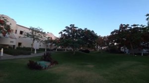 Сравнение Reef oasis blue bay и Reef oasis beach resort & Spa