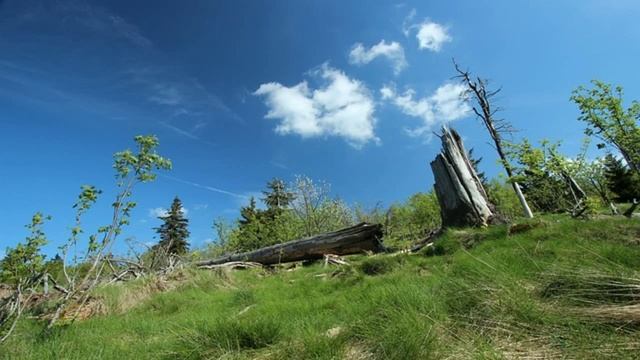 светящиеся наушники купить в Зуевке смотреть онлайн