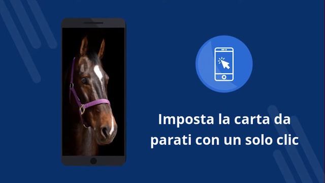 Sfondi di cavalli 4k смотреть онлайн