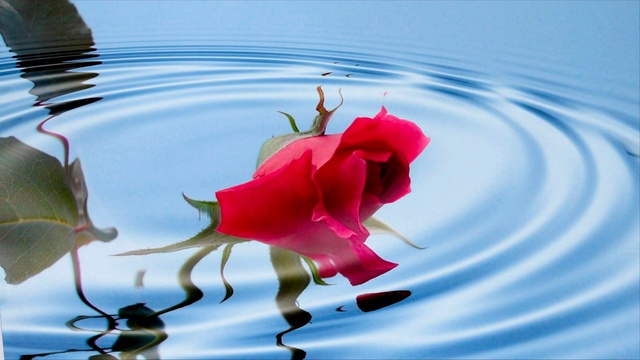 Rutube_account_251122