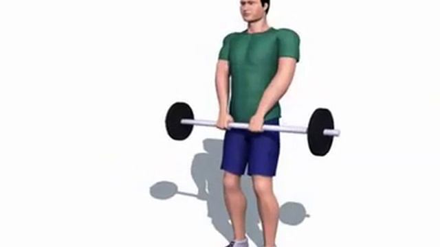 Подъемы прямых рук со штангой узким хватом стоя смотреть онлайн