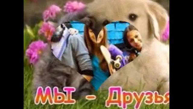 Мои друзья смотреть онлайн