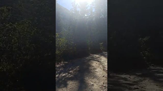 Жёская мотивейшн😁 смотреть онлайн