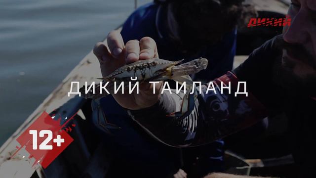 Дикий Таиланд. смотреть онлайн