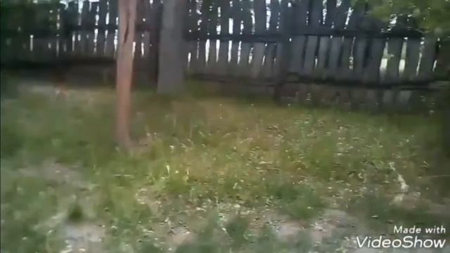 Рыбалка в Словакии город Галанта смотреть онлайн