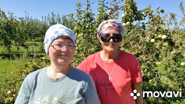 #Ейск?Кубанский сад "Плодовое" ??Едем на сбор яблок. Романтика ??? смотреть онлайн