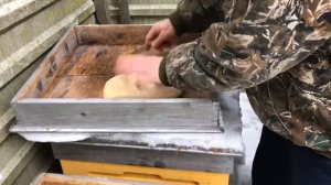 Подкормка пчёл зимой