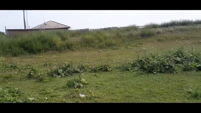 #рыбалка.бешеный клёв смотреть онлайн