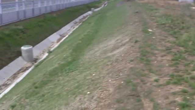 Гидропосев прорастает.Нижний Солнечный автоподход к керченскому мосту.