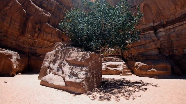 Discovering The Deserts with Arabic Music 4K FHD смотреть онлайн