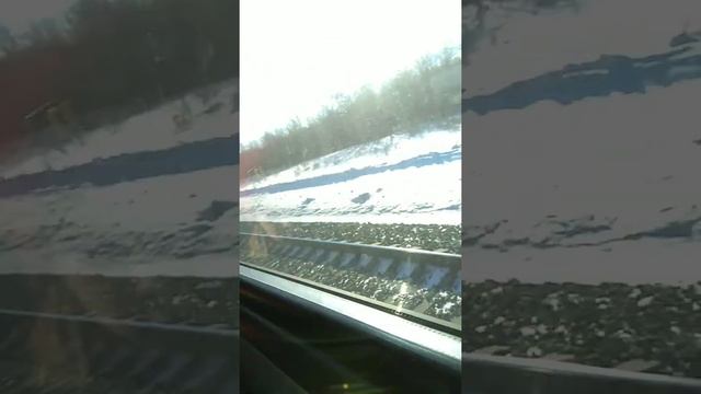 Поехали в Исилькуль на праздник/ часть 1 смотреть онлайн