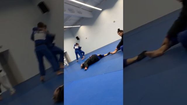 Тренировка спортсменов-участников первенства Европы по дзюдо в Ижевске смотреть онлайн