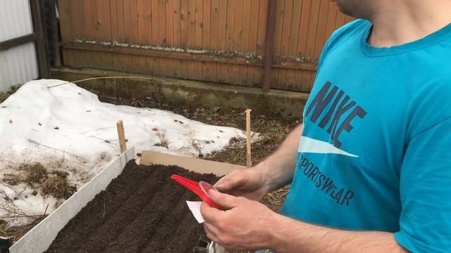 ПРОБУЮ ВЫСАЖИВАТЬ СЕМЕНА СО СПЕЦИАЛЬНЫМ ПРИСПОСОБЛЕНИЕМ смотреть онлайн