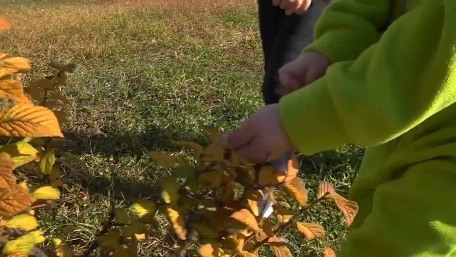Юные благовещенцы призвали жителей амурской столицы подружиться с городом