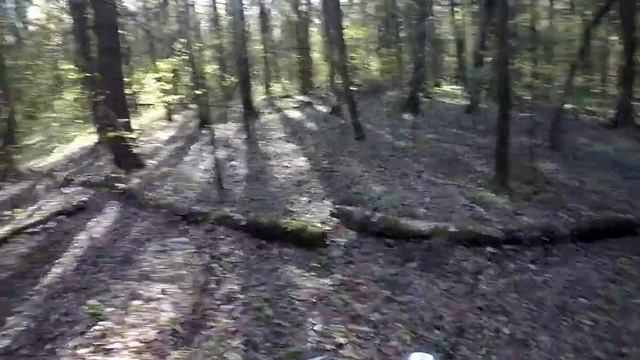 Первый выезд на мотиках  Motoland TT250, Motoland Xt250hs??