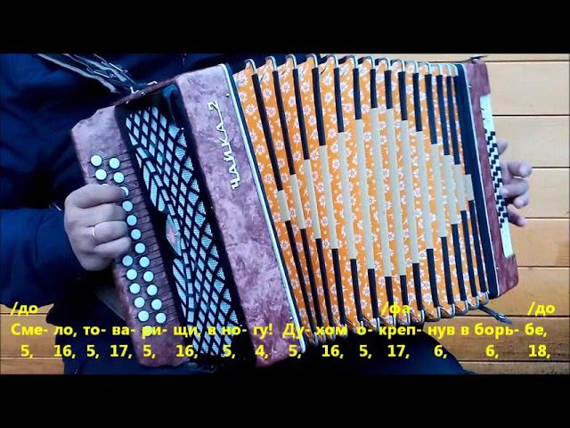 Смело, товарищи, в ногу!   (разбор на гармони)