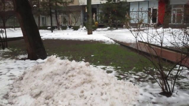 Ростов. 1 января 2022 года. Новости. Пушкинская улица. Утро. Весёлые люди. Прекрасная встреча. смотреть онлайн