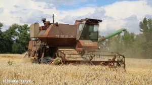 Комбайн Нива. Легенда в деле. Обмолот яровой пшеницы. Уборочная 2020