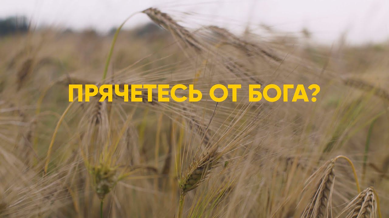 Вы прячетесь от Бога? смотреть онлайн