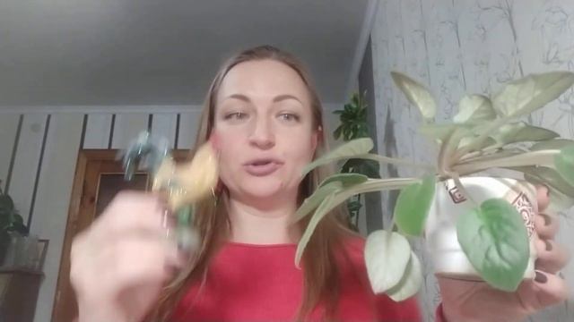 Об экологии как науке, круговороте веществ в природе смотреть онлайн