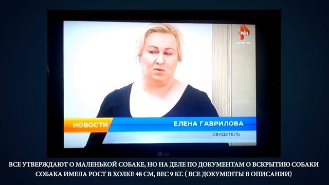 Гражданский vs клятвопреступников и журналжистов. смотреть онлайн
