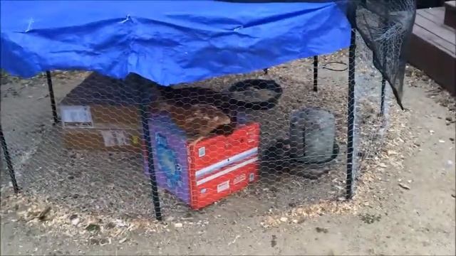 How to build an easy chicken coup - a simple cheap inexpensive way смотреть онлайн