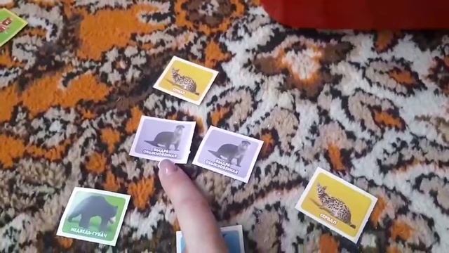 Мама - выдра обыкновенная. смотреть онлайн