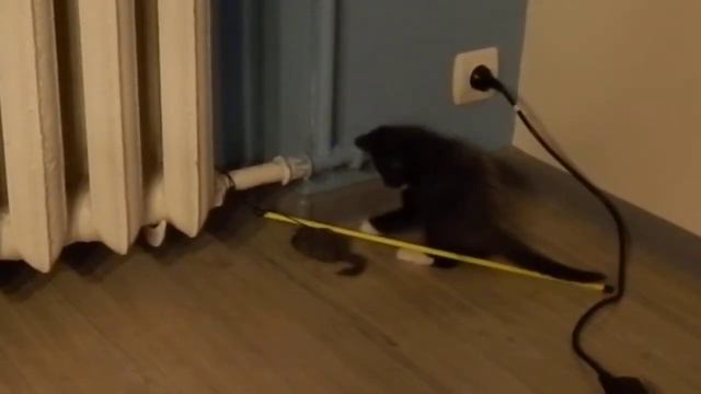 И вот тако он может часами...