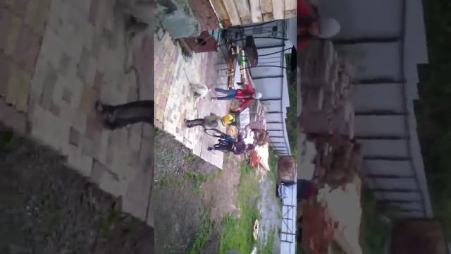 Ужас ребёнку чёт неат кусили руку смотреть онлайн