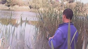 Блесна цикада уловистая окуня и щуку не пропускает.