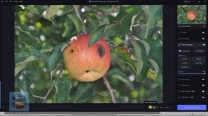 Как правильно применять резкость в программе «Topaz Photo AI», чтобы потом не кусать себе локти