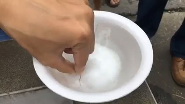 新奇！新園烏龍午時水 民眾紛紛來提水 смотреть онлайн