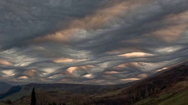 Западный Ветер - ответы на коментарии. смотреть онлайн