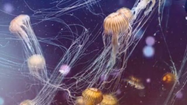 УЛЬТРА РАССЛАБЛЯЮЩАЯ МУЗЫКА, УСПОКОЙТЕ РАЗУМ И ПОГРУЖАЕТ В ГЛУБОКИЙ СОН, 5 МИНУТ И ВЫ ПОГРУЗИТЕСЬ . смотреть онлайн