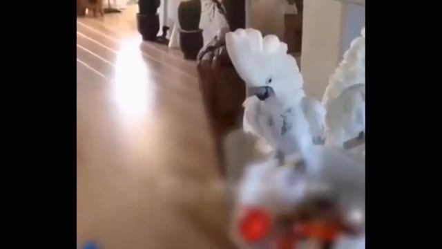 Моя хата с краю смотреть онлайн