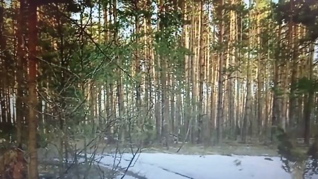 Мое поздравление милым женщинам в стихах и с музыкой смотреть онлайн