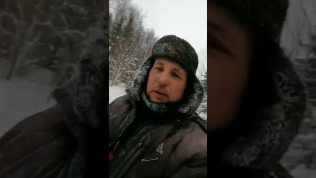 Мотособака-лесовоз. Изба в лес часть2. смотреть онлайн