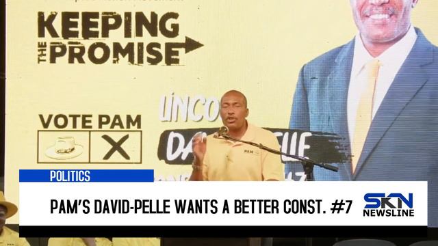 PAM’S DAVID PELLE WANTS A BETTER CONST #7 смотреть онлайн
