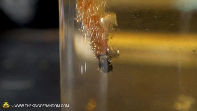 Can Waterproof Matches Light AFTER They're Underwater? смотреть онлайн