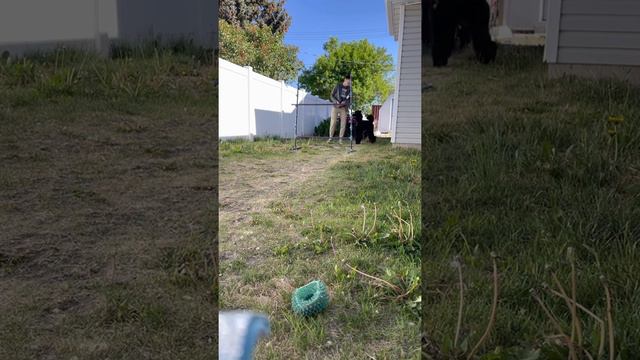 KPA 10 part chain (1) Kaylee Walton w/ Louie смотреть онлайн